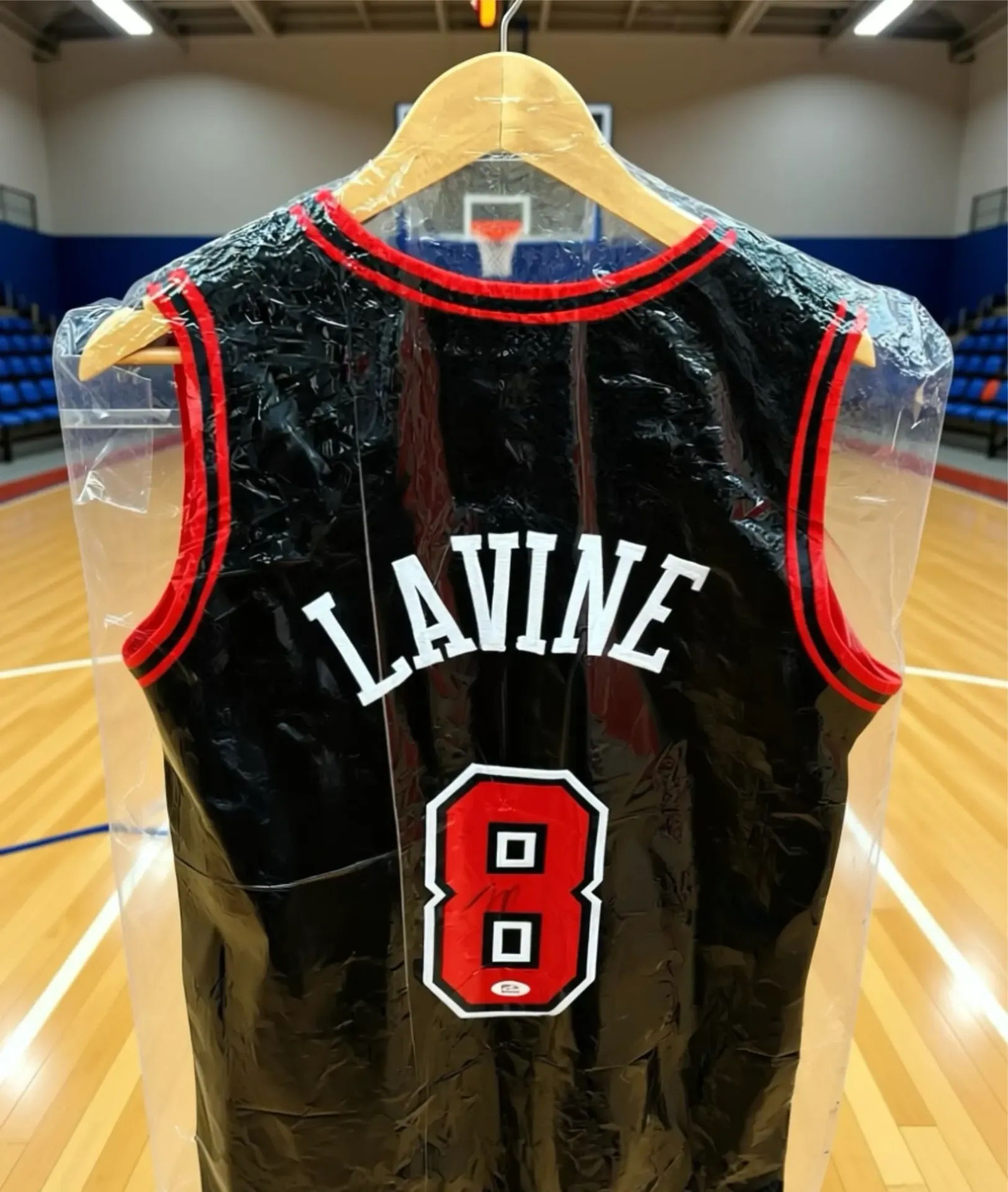 Jersey Zach LaVine