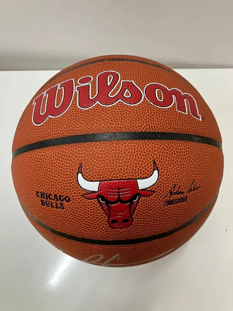 BALLON  BULLS RODMAN  SIGNE