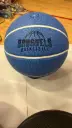 Ballon Brussels Basket ball 