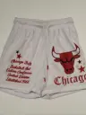 Short Chicago Bulls ultra game