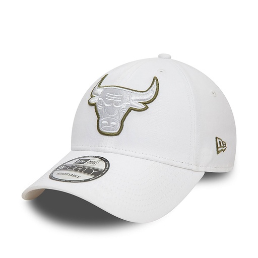 Chicago Bulls Team Outline White 9FORTY 